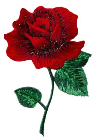 Actieprijs Applicatie roos