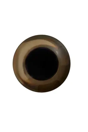 Weekendaanbieding Shank Knop Animal Eye, bruin