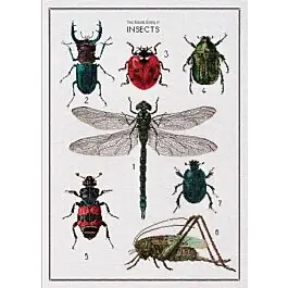 Aanbieding Borduurpakket History of Insects van Thea Gouverneur 566 aida