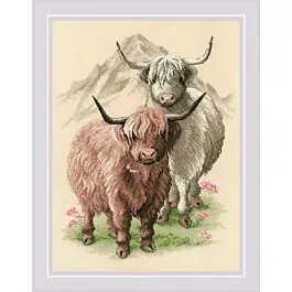 Borduurpakket Highland Buddies - Hooglander Maatjes van Riolis 2090 om te borduren. Fabrieksprijs