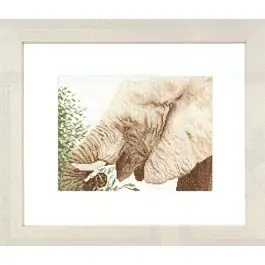 Aanbieding Borduurpakket Etende olifantLanarte 35141 Aida
