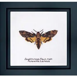 Actieprijs Thea Gouverneur Death's-head Hawk moth 563a op linnen borduren