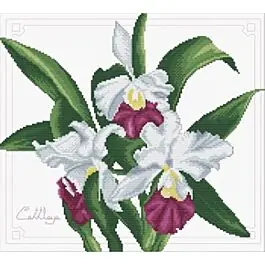Aanbieding Voorbedrukt borduurpakket Bouquet of Orchids - Needleart World op aida
