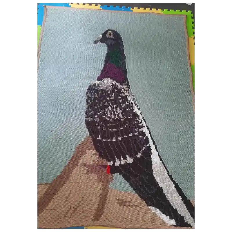 Beperkt Aanbod Haakpatroon deken duif, van foto