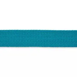 25mm tassenband UNION KNOPF 0005497 025 Must-Have