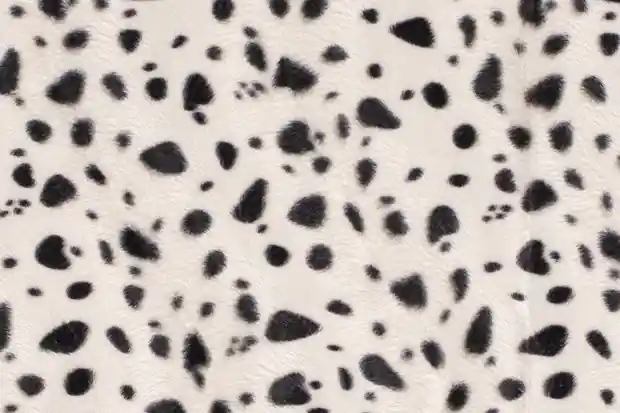 Velboa stof, dalmatiër print, zwart/wit. V4499.51 Exclusieve Aanbieding