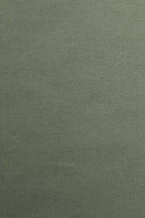 Zomerjogging stof, gewassen, mint. JW320 Bestel Nu