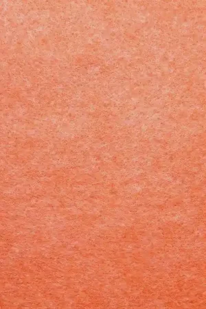 Vilt, ca 21×30 cm, 17 oranje Lage Prijs