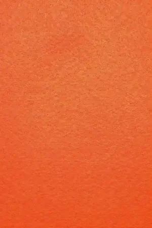 Vilt, ca 21×30 cm, 16 fel oranje Rechtstreeks Van De Fabrikant