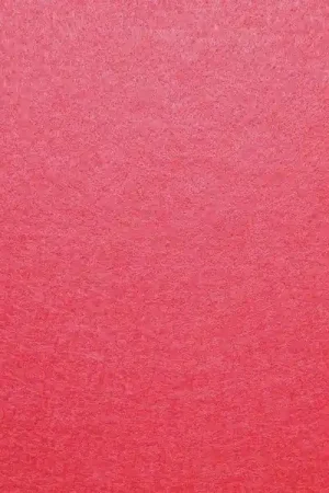 Vilt, ca 21×30 cm, 15 rood Koop Vandaag