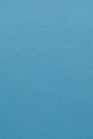 Vilt, ca 21×30 cm, 4 blauw Gecertificeerd