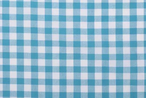 Veilige Betaling Katoen stof ruit aqua/turquoise blauw met wit, 1.5R004