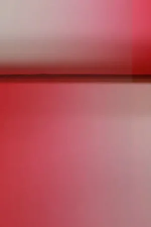 Actieprijs Lycra stof, ombre, kleur overloop, fuchsia. LY19005HF-105