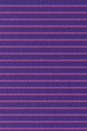 Aanbieding Jersey strepen paars\\/roze