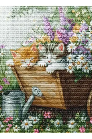 Borduurpakket Kittens' Sleep - Luca-S Dagaanbieding