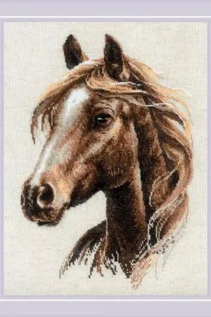 Borduurpakket Proud Spirit - RIOLIS Koop Vandaag