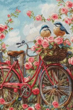 Borduurpakket Bicycle with Roses - Luca-S Hete Deal