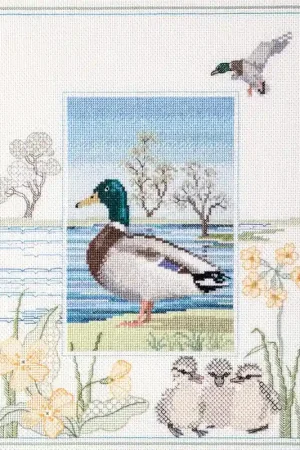 Actieprijs Borduurpakket Wildlife - Mallard - Derwentwater Designs