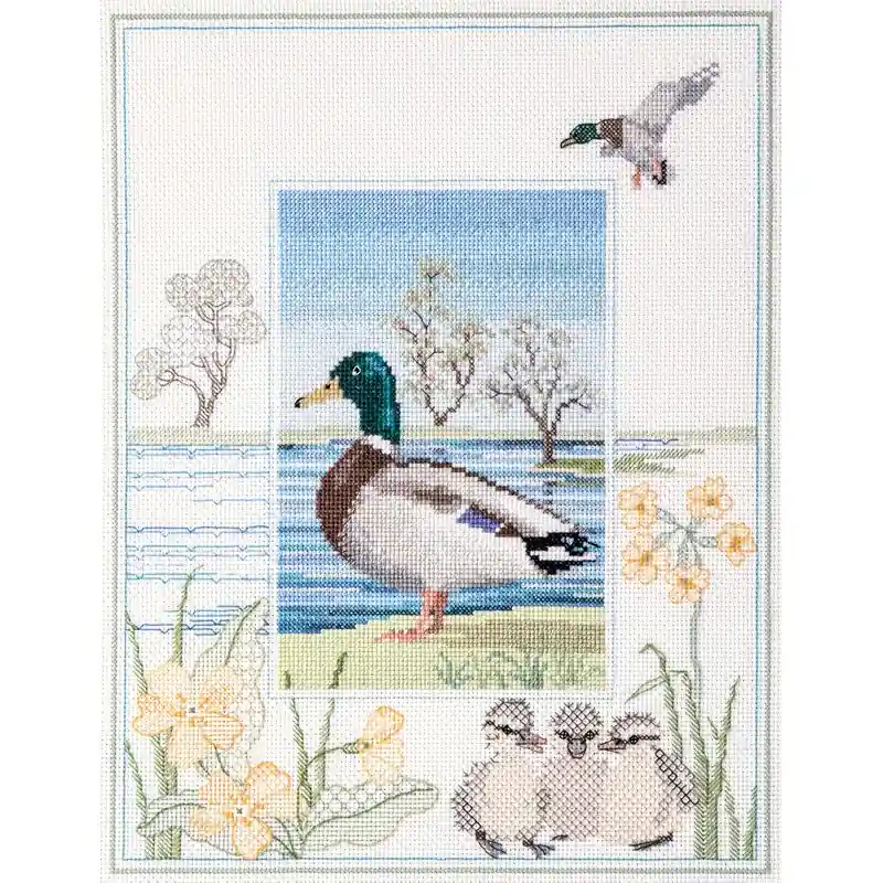 Actieprijs Borduurpakket Wildlife - Mallard - Derwentwater Designs