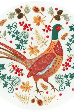 Premium Vrij borduren pakket Kathy Pilcher - Folk Pheasant - Bothy Threads