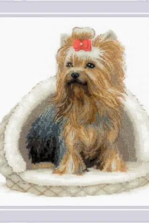 Borduurpakket Yorkshire Terrier - RIOLIS Goedkoop