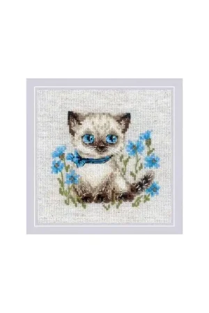 Borduurpakket Siamese Kitten - RIOLIS Express Levering