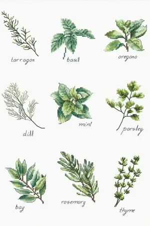 Populair Borduurpakket Spices and Herbs - Luca-s