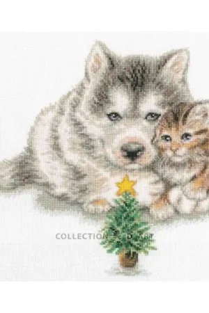 Borduurpakket Good Friends - RTO Hoge Kwaliteit