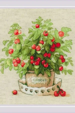 Express Levering Borduurpakket Tomatoes in a Pot - RIOLIS