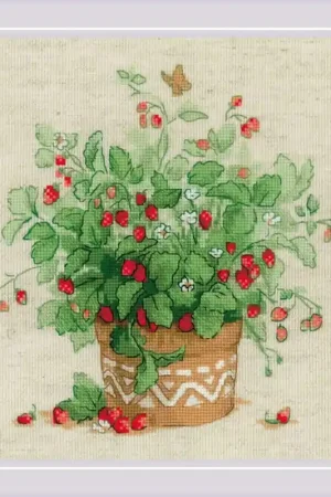 Borduurpakket Strawberries in a Pot - RIOLIS Rechtstreeks Van De Fabrikant
