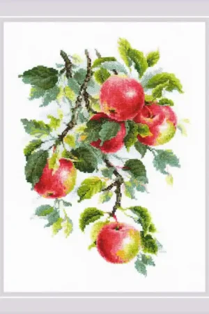 Borduurpakket Juicy Apples - RIOLIS Goedkoop