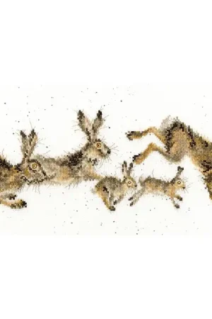 Alleen Vandaag Borduurpakket Hannah Dale - Spring In Your Step - Bothy Threads