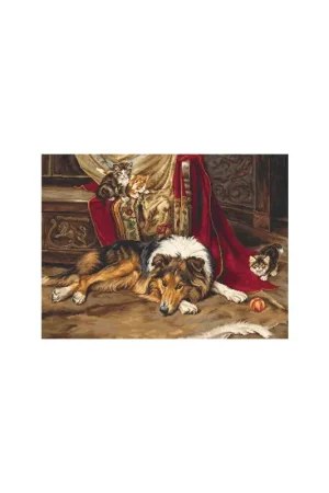 Weekendaanbieding Petit Point borduurpakket A Reluctant Playmate - Luca-S