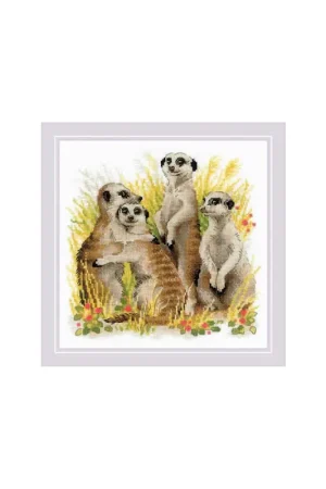 Borduurpakket Meerkats - RIOLIS Favoriet