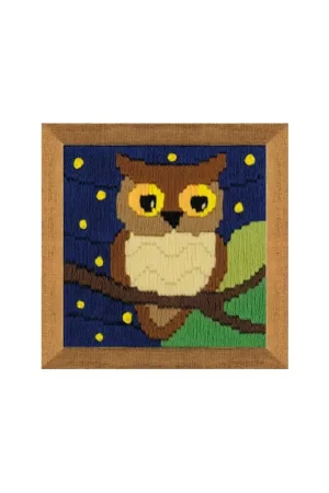 Borduurpakket Owl Among the Stars - RIOLIS Beste Prijs