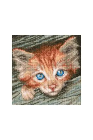 Borduurpakket Fluffy observer - RTO Premium