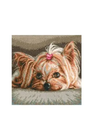 Borduurpakket Pet - RTO Hete Deal