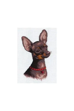 Beperkt Aanbod Borduurpakket Chihuahua - PANNA