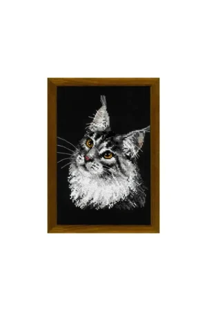Borduurpakket Maine Coon - RIOLIS Lage Prijs