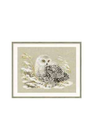 Borduurpakket White Owl - RIOLIS Dagaanbieding