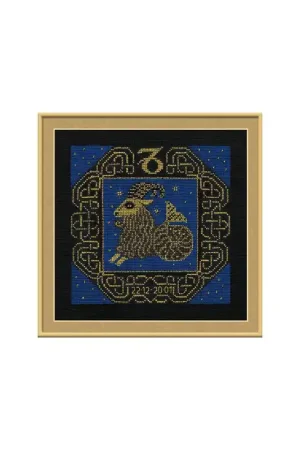 Borduurpakket Capricorn - RIOLIS Alleen Vandaag