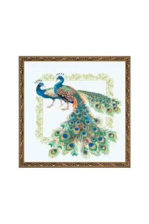 Favoriet Borduurpakket Peacocks - RIOLIS