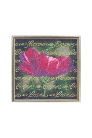Borduurpatroon Cosmos - Janlynn Direct Beschikbaar