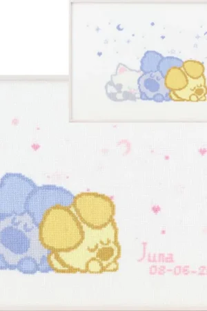 Pako Woezel & Pip: Geboorte borduren (pakket) Veilige Betaling