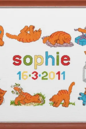 Goedkoop Pako Dikkie Dik Geboortetegel borduren (pakket)