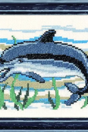 Hoge Kwaliteit Pako Dolfijn borduren (pakket)