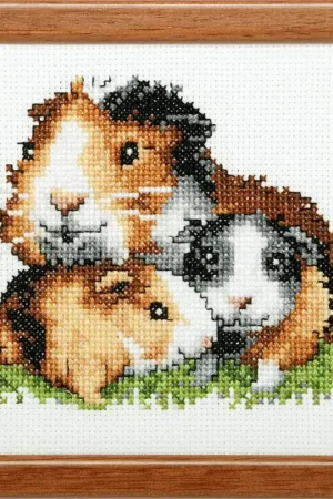 Pako Cavia's borduren (pakket) Premium