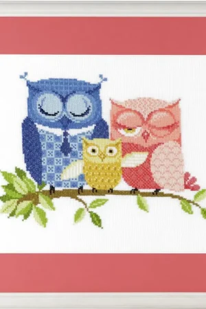 Pako Uilen borduren (pakket) Koop Vandaag