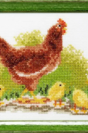 Pako Kip met kuikens borduren (pakket) 210.897 Populair