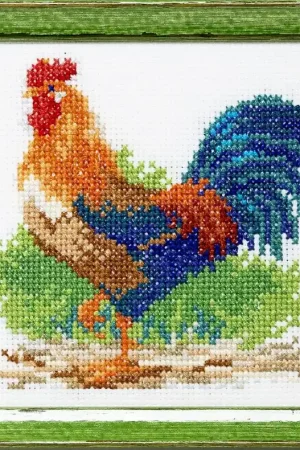 Express Levering Pako Haan borduren (pakket) 210.896